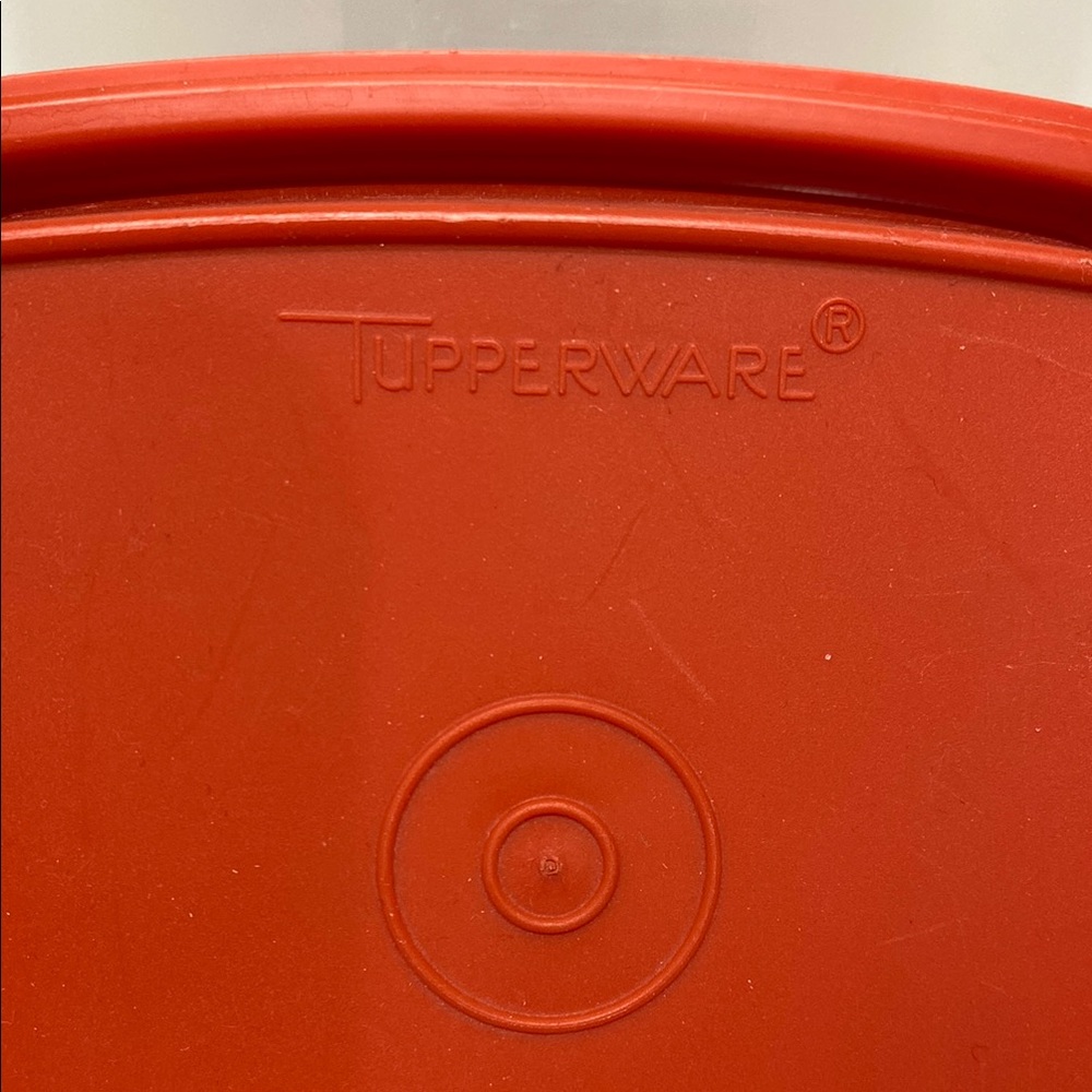 Tupperware Pickle Storage Container / Keeper - Picture 5 of 6